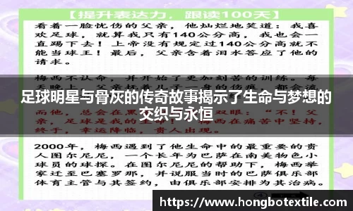 lehu乐虎国际